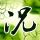 《怪物猎人：世界》新演示：三龙泥沼混战场面震撼